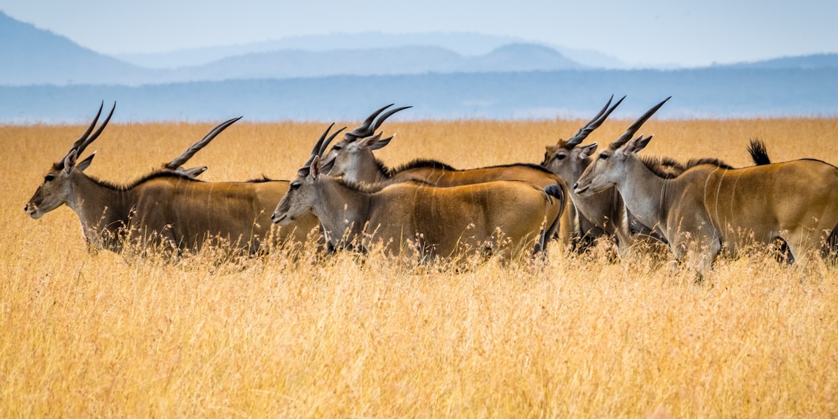 Best Restaurants and Pubs in Burton upon Trent