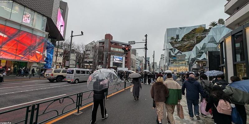 Burton upon Trent high street shopping