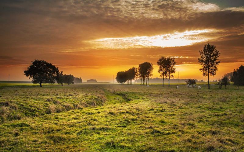 Donnington Park Hotel for BSB