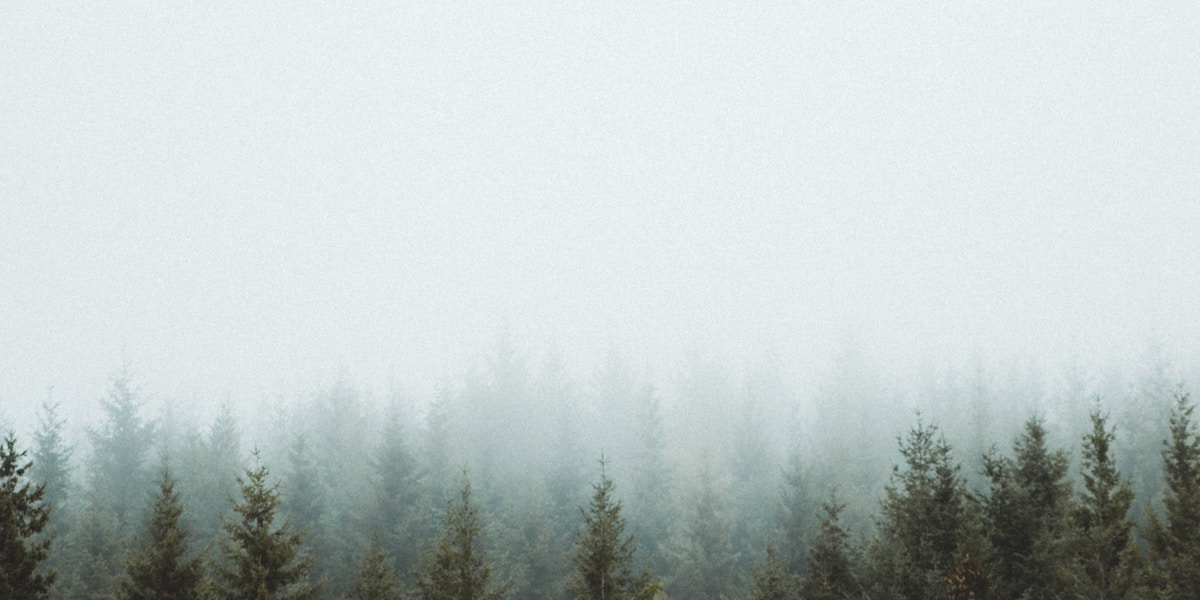 Hotels Near Uttoxeter Town: Burton Alternative