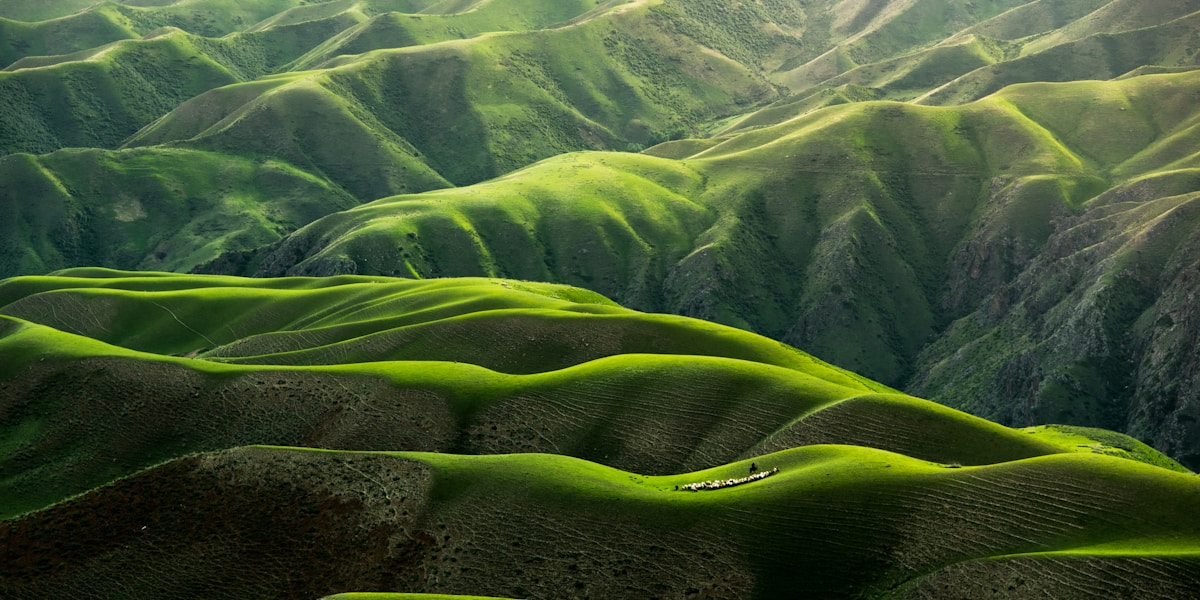 Lichfield Cathedral and City: A Perfect Day Out